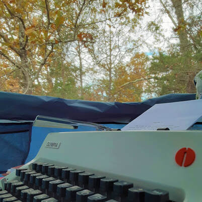 olympia typewriter in the woods