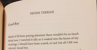 Denise Terriah author, Good Boy, Ladies' Night