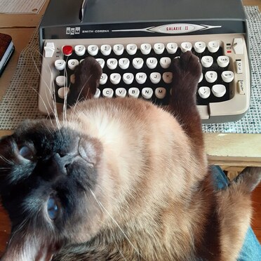 #moothewriter, Moo the writer, typewriter cat, Smith Corona typewriter, Smith Corona Galaxy II
