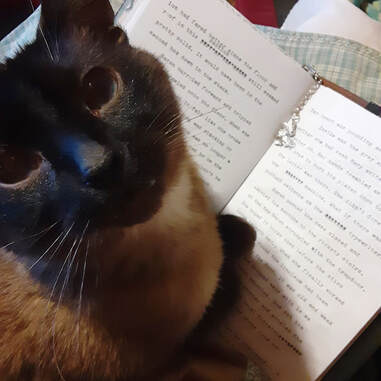 #moothewriter, Moo the writer, editor, cat editing, editing typewritten story, typewritten story